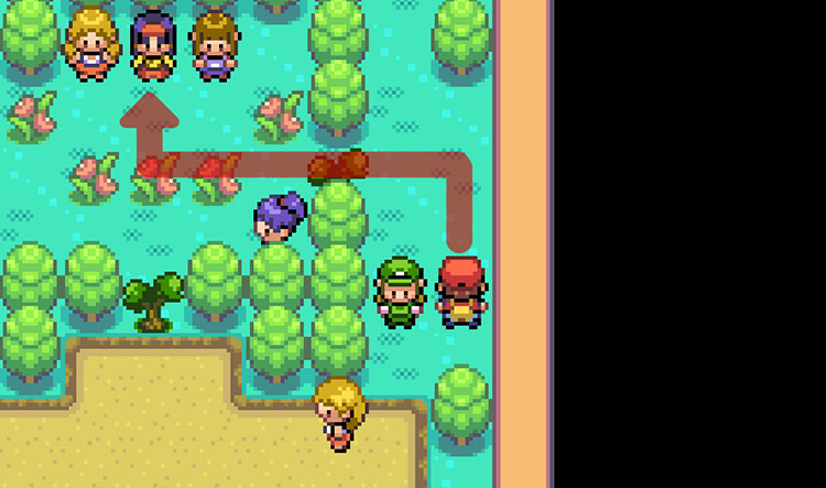 After defeating the trainer, you’ll need to use Cut on the Tree and face one more trainer before challenging Erika / Pokémon FireRed and LeafGreen