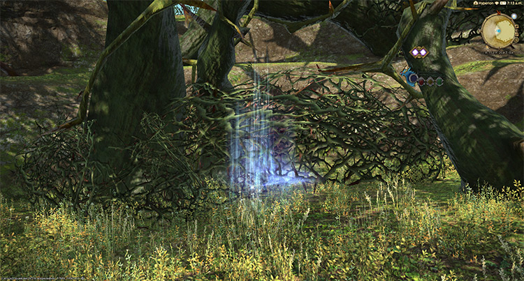 The entrance for Thornmarch (Hard) in East Shroud / Final Fantasy XIV