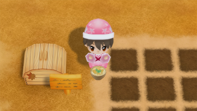The farmer eats Bamboo Rice to restore stamina while working in the fields. / Story of Seasons: Friends of Mineral Town