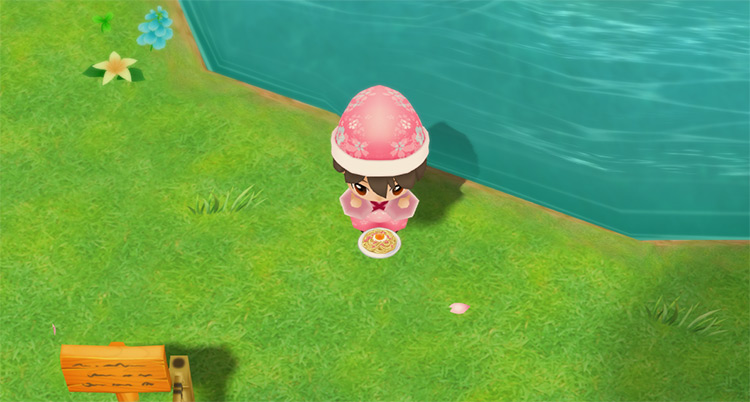 The farmer eats a plate of Carbonara to restore stamina while fishing. / Story of Seasons: Friends of Mineral Town