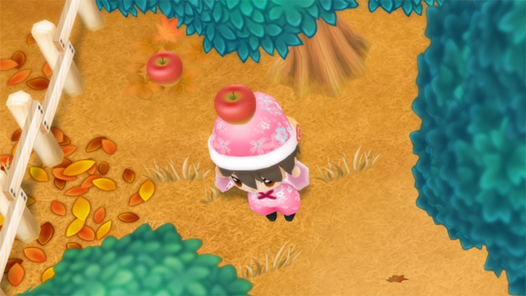 The farmer harvests Apples from the fruit trees on the farm. / Story of Seasons: Friends of Mineral Town