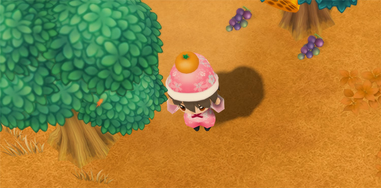 The farmer harvests Oranges from a tree in Autumn. / Story of Seasons: Friends of Mineral Town