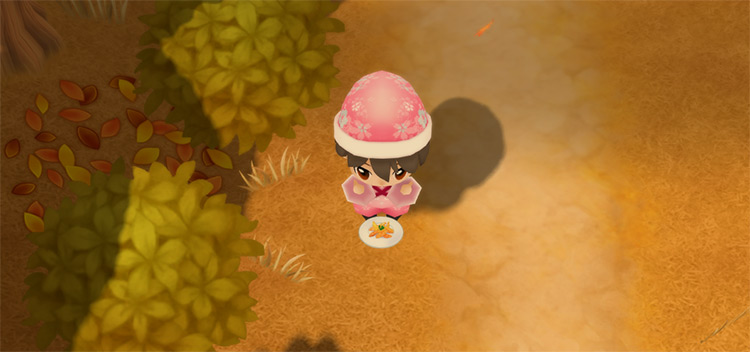 The farmer eats a plate of Candied Peels to restore stamina while foraging. / Story of Seasons: Friends of Mineral Town
