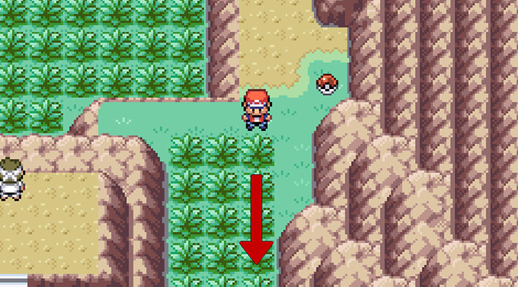 Make your way to the karate trainer on top of the hill to the left / Pokémon FRLG