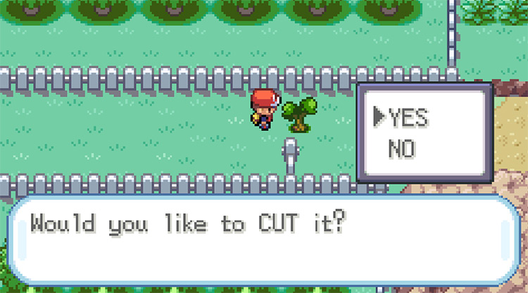 Cutting down the tree blocking Route 9 (east of Cerulean City) / Pokémon FireRed & LeafGreen