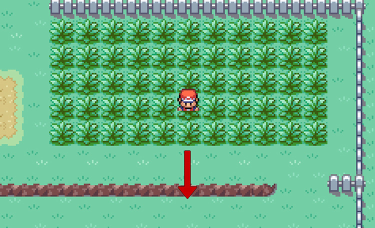 Walk south from this patch of grass on Route 10 to reach the Pokémon Center / Pokémon FireRed & LeafGreen