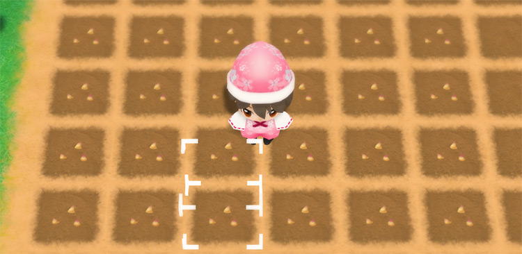 The farmer stands in the middle of a freshly planted Potato field. / Story of Seasons: Friends of Mineral Town