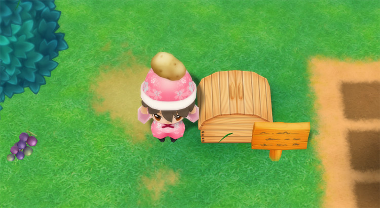 The farmer drops a Potato into the Shipping Bin. / Story of Seasons: Friends of Mineral Town