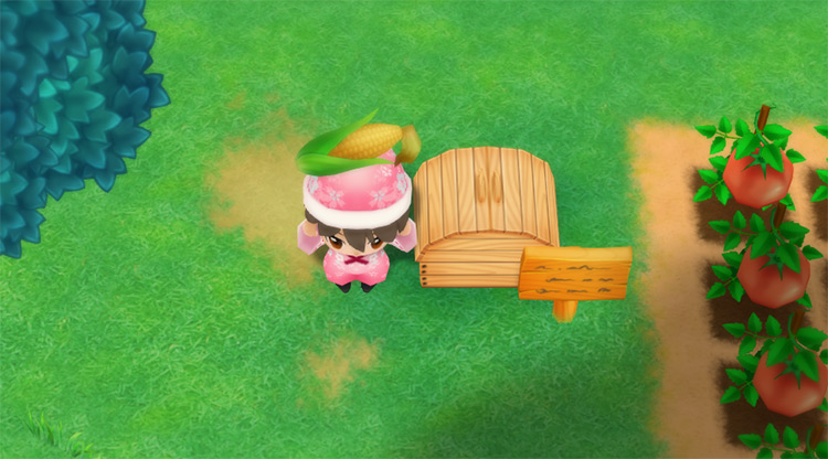The farmer drops Corn into the Shipping Bin. / Story of Seasons: Friends of Mineral Town