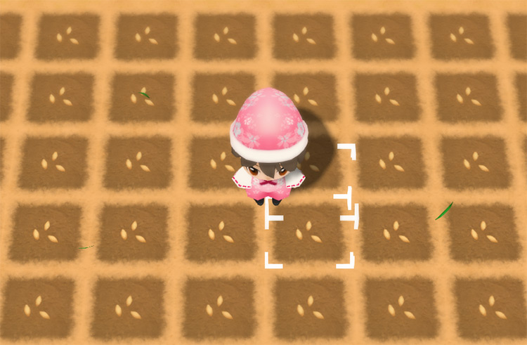The farmer stands in the middle of a freshly planted Cucumber field. / Story of Seasons: Friends of Mineral Town