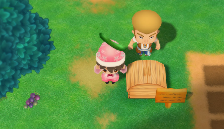 The farmer drops a Cucumber into the Shipping Bin. / Story of Seasons: Friends of Mineral Town