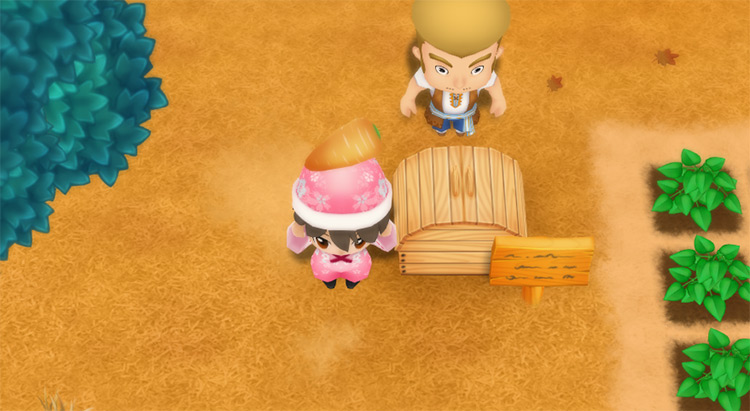 The farmer drops a Carrot into the Shipping Bin. / Story of Seasons: Friends of Mineral Town