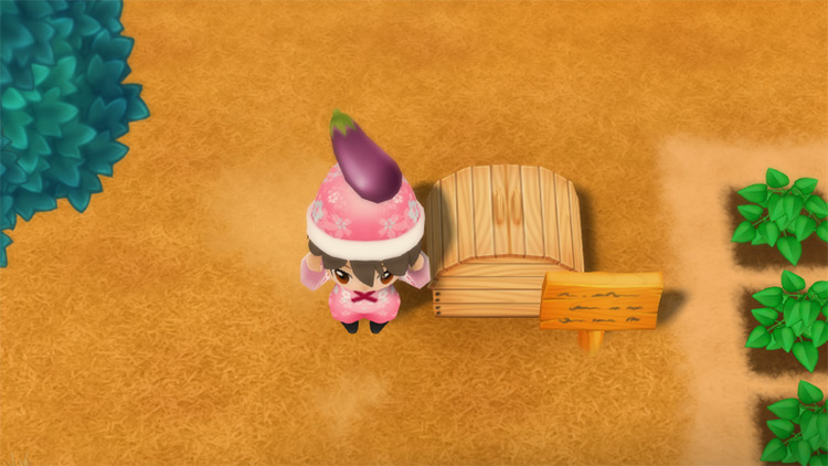 The farmer drops an Eggplant into the Shipping Bin. / Story of Seasons: Friends of Mineral Town