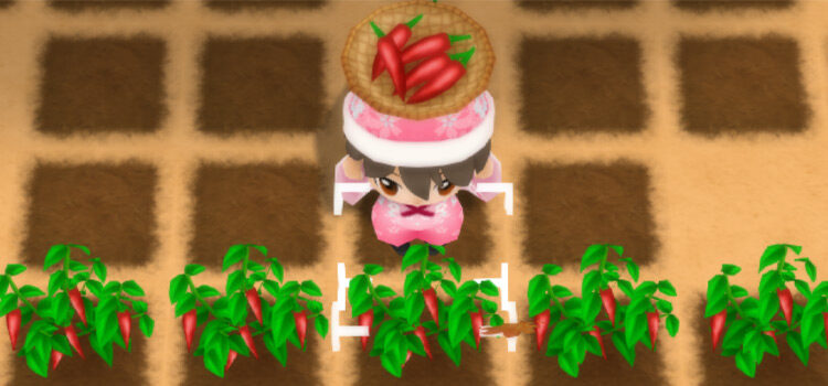 Harvesting chili peppers in SoS: FoMT