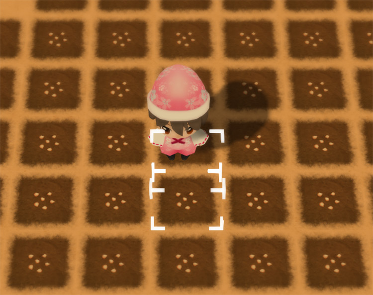 The farmer stands in the middle of a freshly planted Chili Pepper field. / Story of Seasons: Friends of Mineral Town