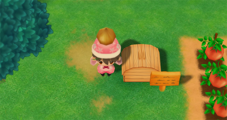 The farmer drops an Onion into the Shipping Bin. / Story of Seasons: Friends of Mineral Town
