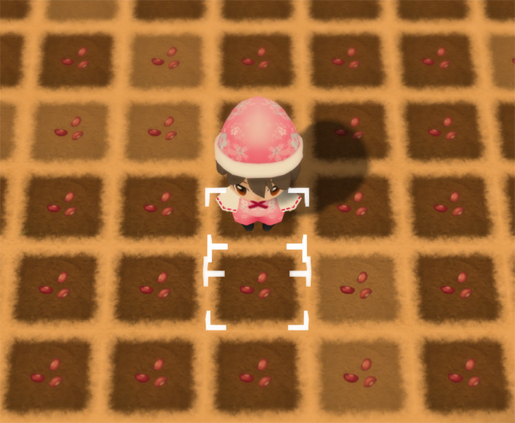 The farmer stands in the middle of a freshly planted Adzuki Bean field. / Story of Seasons: Friends of Mineral Town