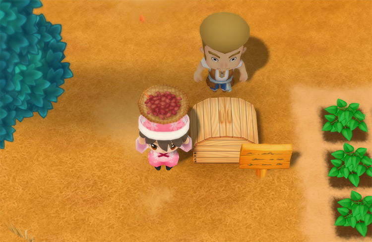 The farmer drops Adzuki Beans into the Shipping Bin. / Story of Seasons: Friends of Mineral Town