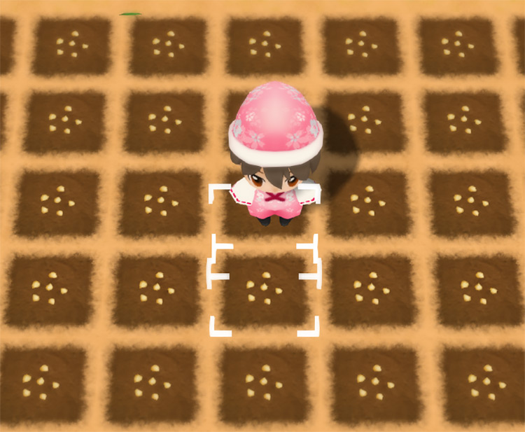 The farmer stands in the middle of a freshly planted Green Pepper field. / Story of Seasons: Friends of Mineral Town
