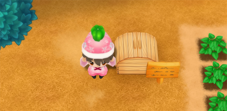 The farmer drops a Green Pepper into the Shipping Bin. / Story of Seasons: Friends of Mineral Town