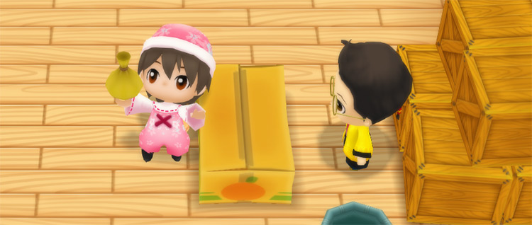 The farmer buys Pineapple seeds from Huang at the his Store. / Story of Seasons: Friends of Mineral Town