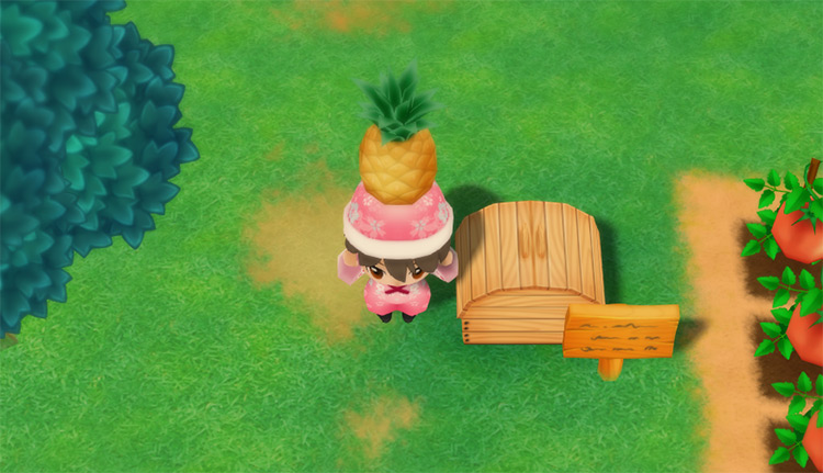 The farmer drops a Pineapple into the Shipping Bin. / Story of Seasons: Friends of Mineral Town