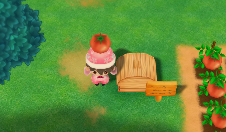 The farmer drops a Tomato into the Shipping Bin. / Story of Seasons: Friends of Mineral Town