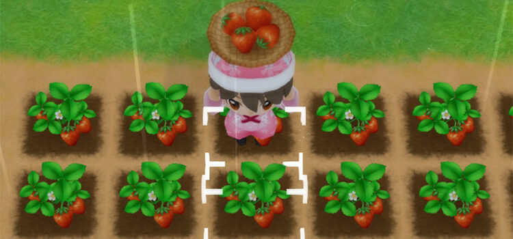 Harvesting a Strawberry in Springtime (SoS:FoMT)