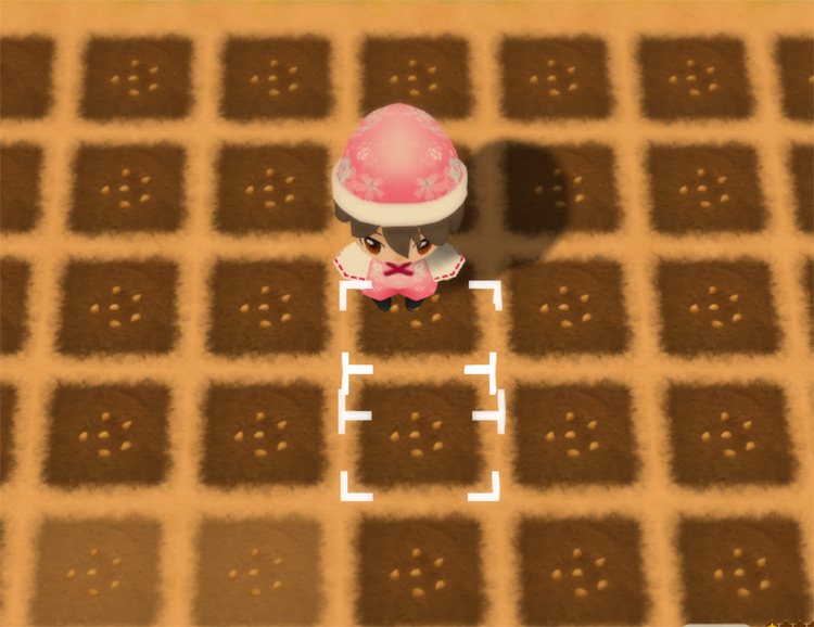 The farmer stands in the middle of a freshly planted Strawberry field. / Story of Seasons: Friends of Mineral Town