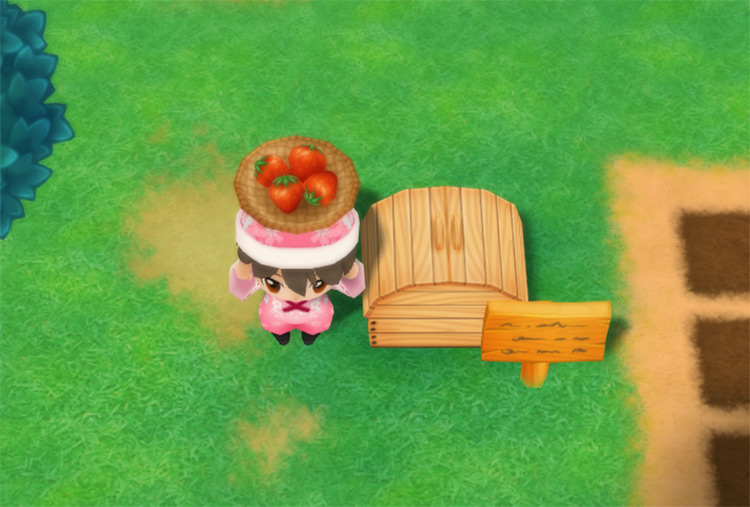 The farmer drops a Strawberry into the Shipping Bin. / Story of Seasons: Friends of Mineral Town
