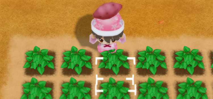 Harvesting a Yam in Autumn (SoS:FoMT)