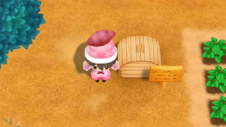 The farmer drops Yam into the Shipping Bin. / Story of Seasons: Friends of Mineral Town