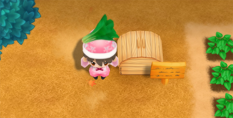 The farmer drops Spinach into the Shipping Bin. / Story of Seasons: Friends of Mineral Town