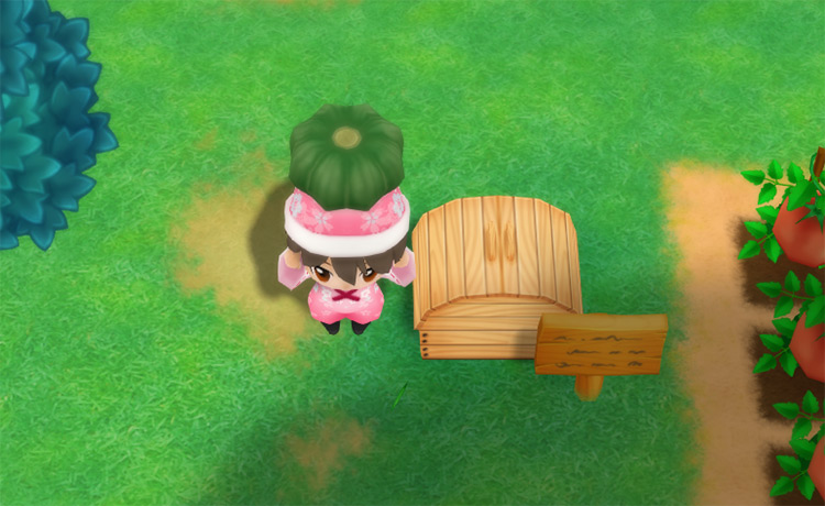 The farmer drops a Pumpkin into the Shipping Bin. / Story of Seasons: Friends of Mineral Town