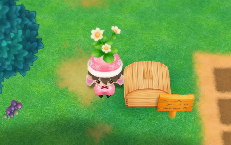 The farmer drops a Moondrop Flower into the Shipping Bin. / Story of Seasons: Friends of Mineral Town