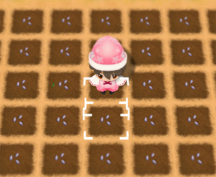 The farmer stands in the middle of a freshly planted Magic Red Flower field. / Story of Seasons: Friends of Mineral Town
