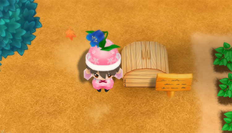 The farmer drops a Magic Red Flower into the Shipping Bin. / Story of Seasons: Friends of Mineral Town