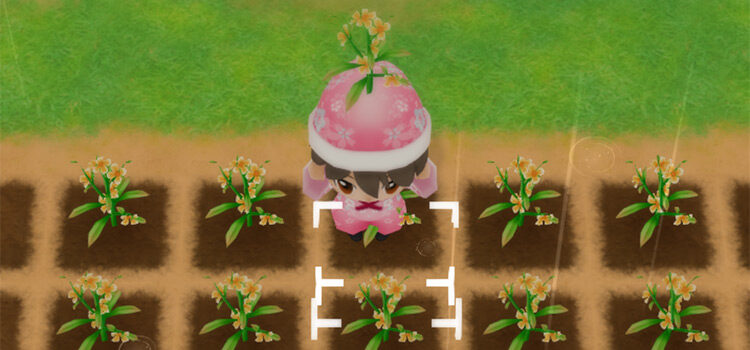 Harvesting a Toy Flower in Spring (SoS:FoMT)
