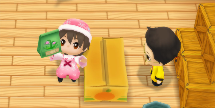 The farmer buys Pink Cat Flower seeds from Huang at his Store. / Story of Seasons: Friends of Mineral Town