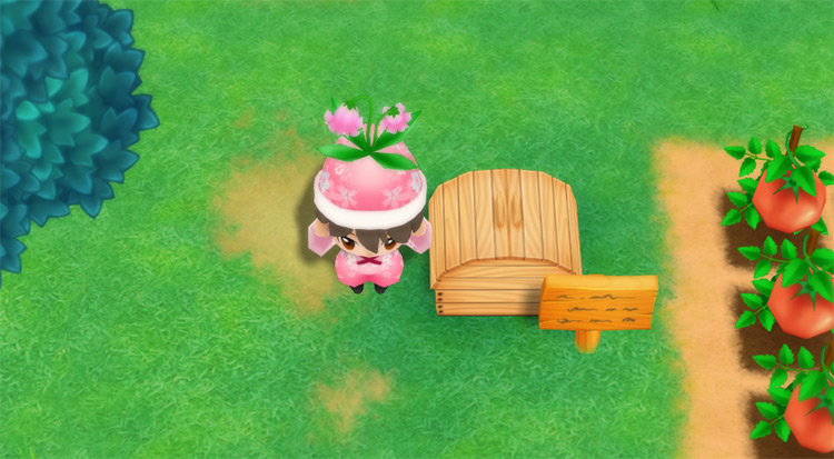 The farmer drops a Pink Cat Flower into the Shipping Bin. / Story of Seasons: Friends of Mineral Town