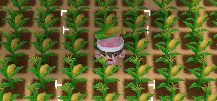 Standing in a field of corn in SoS:FoMT