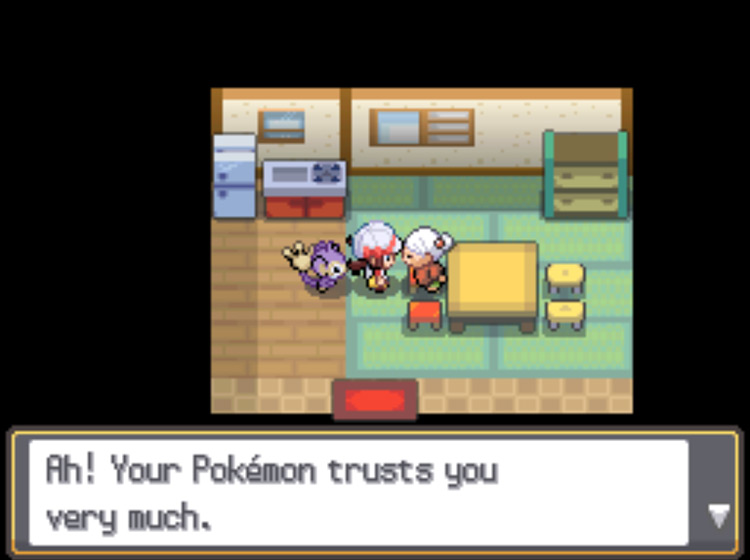 The player about to receive the TM37 Sandstorm for their Aipom's high happiness level / Pokémon HGSS