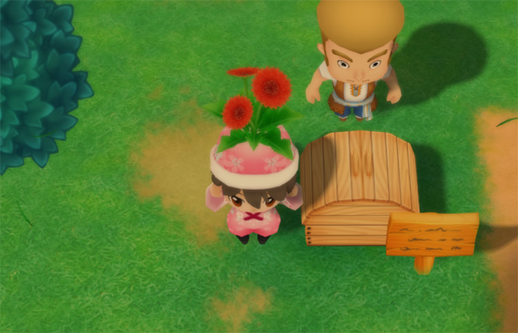 The farmer drops a Sunsweet Flower into the Shipping Bin. / Story of Seasons: Friends of Mineral Town