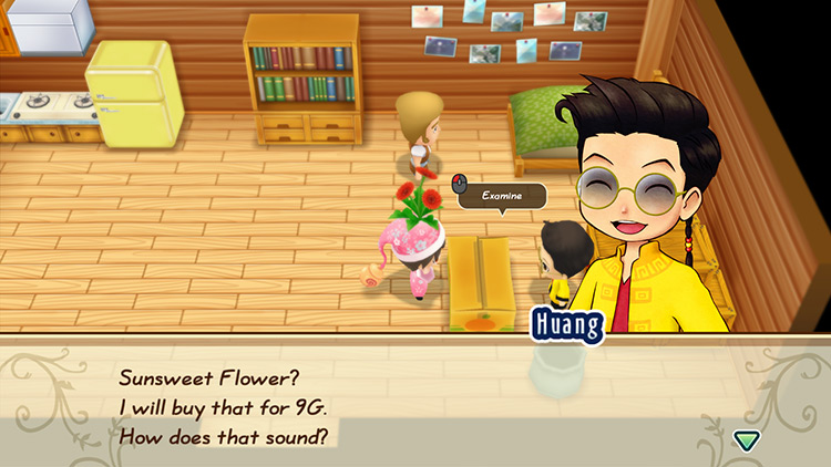 Huang offers to buy a Sunsweet Flower from the farmer. / Story of Seasons: Friends of Mineral Town
