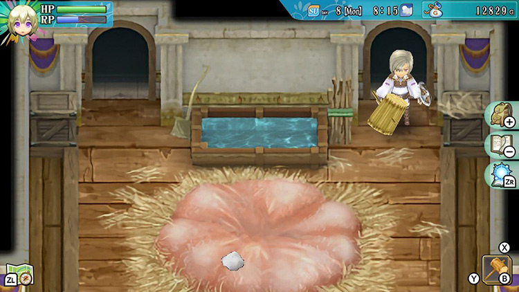 Lest standing in front of the back-right-corner room entrance in a Monster Barn / Rune Factory 4