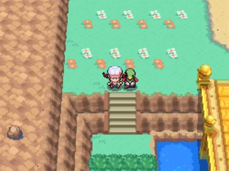The stairs you'll need to descend on Route 25 / Pokemon HGSS