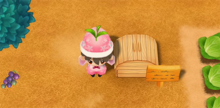 The farmer drops Relax Tea Leaves into the Shipping Bin. / Story of Seasons: Friends of Mineral Town