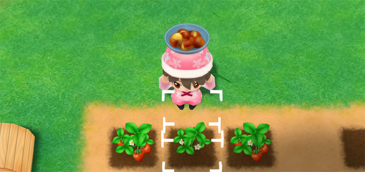The farmer eats a plate of Roasted Chestnuts to restore stamina while watering crops. / Story of Seasons: Friends of Mineral Town