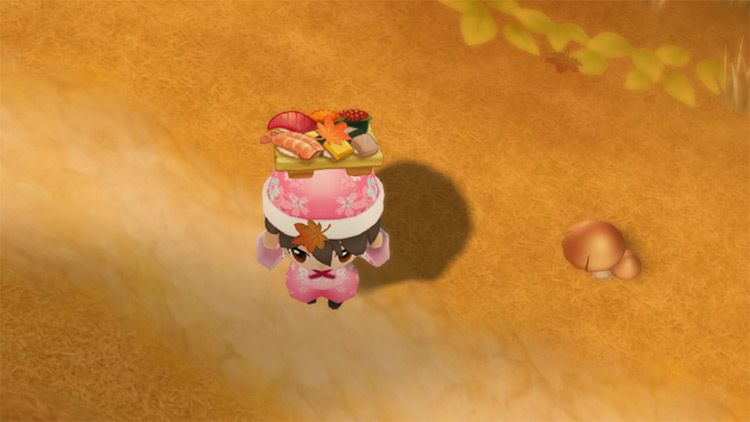 The farmer eats Sushi to restore stamina while foraging. / Story of Seasons: Friends of Mineral Town