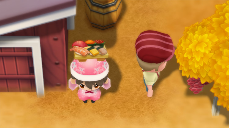 The farmer stands next to Duke while holding a tray of Sushi. / Story of Seasons: Friends of Mineral Town